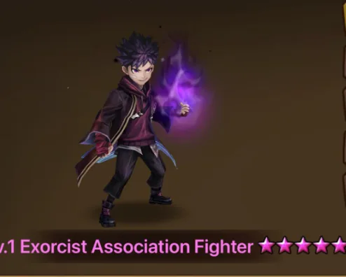 Dark Exorcist Association Fighter - Image 1